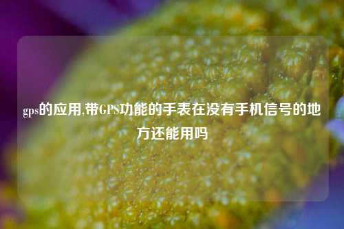 gps的应用,带GPS功能的手表在没有手机信号的地方还能用吗