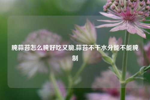 腌蒜苔怎么腌好吃又脆,蒜苔不干水分能不能腌制