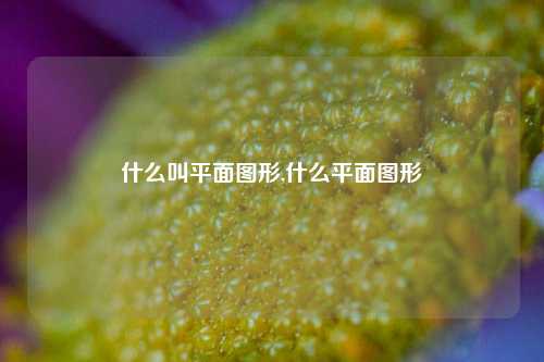 什么叫平面图形,什么平面图形