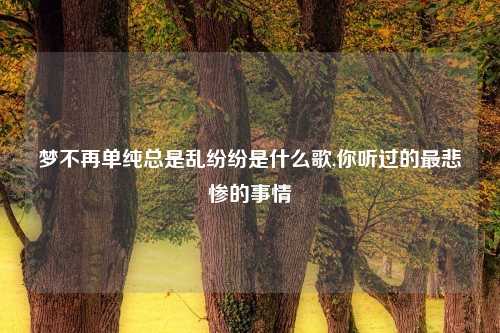 梦不再单纯总是乱纷纷是什么歌,你听过的最悲惨的事情