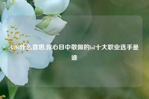 4396什么意思,你心目中敬佩的lol十大职业选手是谁
