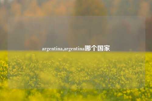 argentina,argentina哪个国家