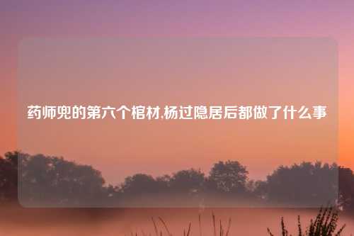 药师兜的第六个棺材,杨过隐居后都做了什么事