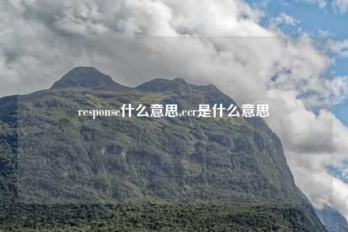 response什么意思,ecr是什么意思