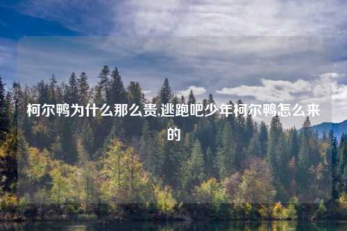 柯尔鸭为什么那么贵,逃跑吧少年柯尔鸭怎么来的