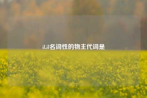 il,il名词性的物主代词是