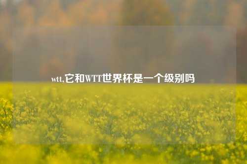 wtt,它和WTT世界杯是一个级别吗