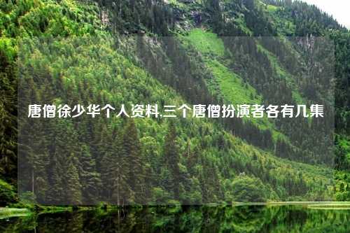 唐僧徐少华个人资料,三个唐僧扮演者各有几集