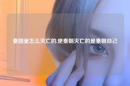 秦国是怎么灭亡的,使秦朝灭亡的是秦朝自己
