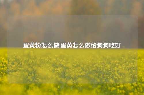 蛋黄粉怎么做,蛋黄怎么做给狗狗吃好