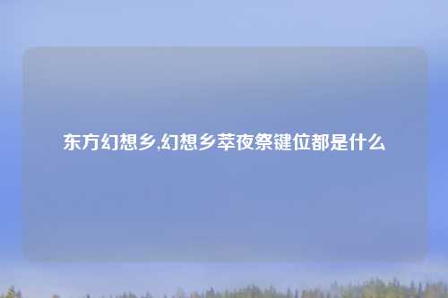 东方幻想乡,幻想乡萃夜祭键位都是什么