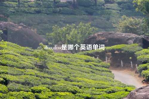 diss,diss是哪个英语单词