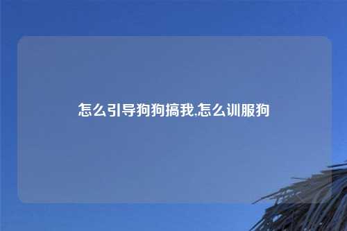 怎么引导狗狗搞我,怎么训服狗