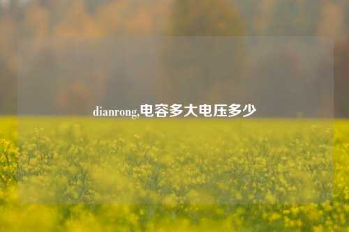 dianrong,电容多大电压多少