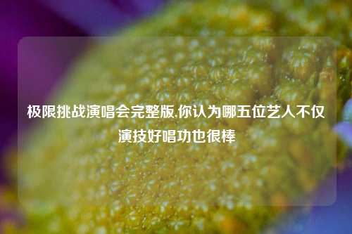 极限挑战演唱会完整版,你认为哪五位艺人不仅演技好唱功也很棒