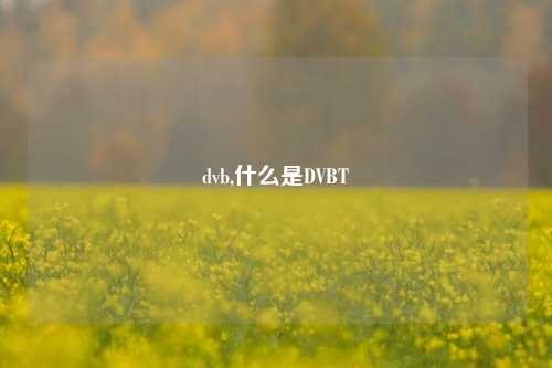 dvb,什么是DVBT