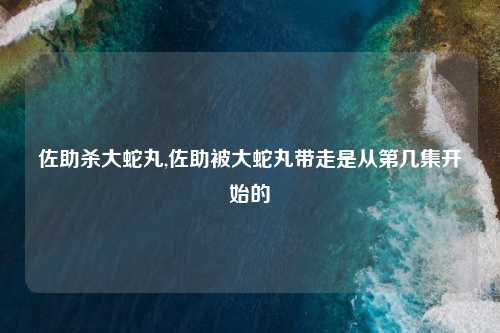 佐助杀大蛇丸,佐助被大蛇丸带走是从第几集开始的