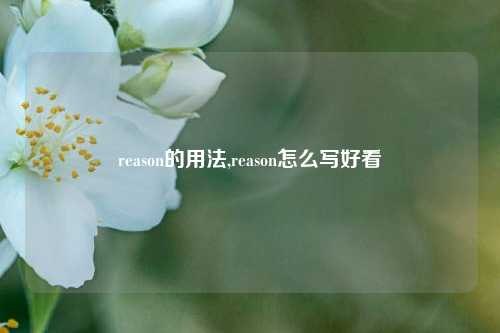 reason的用法,reason怎么写好看