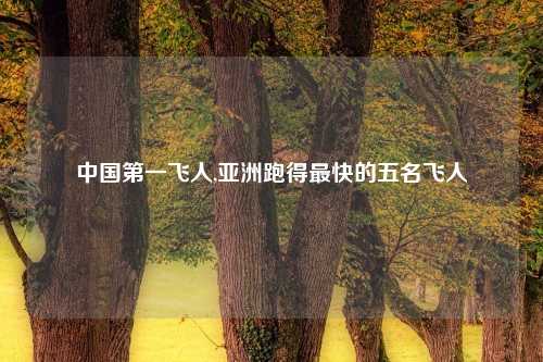 中国第一飞人,亚洲跑得最快的五名飞人