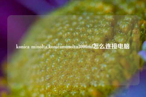 konica minolta,konicaminolta3000mf怎么连接电脑