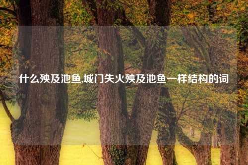 什么殃及池鱼,城门失火殃及池鱼一样结构的词