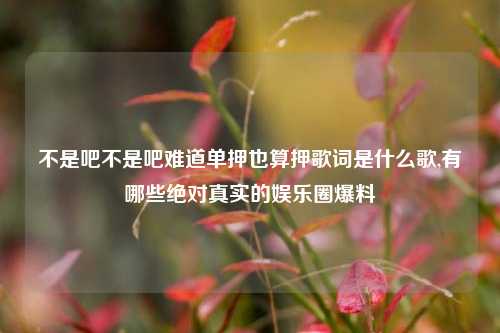 不是吧不是吧难道单押也算押歌词是什么歌,有哪些绝对真实的娱乐圈爆料