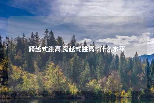 跨越式跳高,跨越式跳高15什么水平