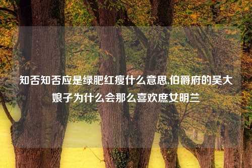 知否知否应是绿肥红瘦什么意思,伯爵府的吴大娘子为什么会那么喜欢庶女明兰