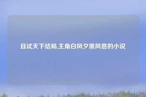 且试天下结局,主角白风夕黑风息的小说