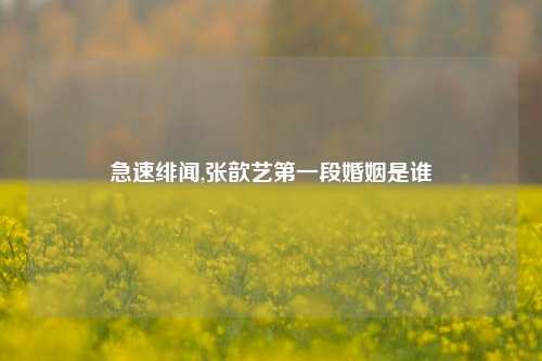 急速绯闻,张歆艺第一段婚姻是谁