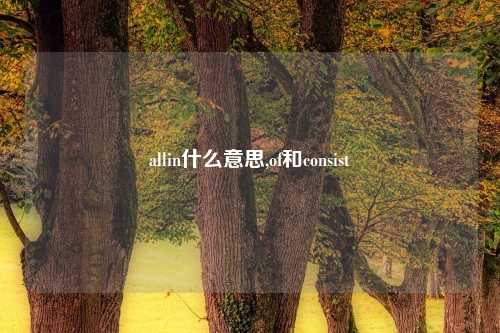 allin什么意思,of和consist