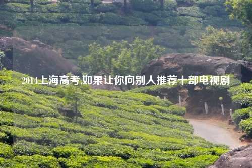 2014上海高考,如果让你向别人推荐十部电视剧
