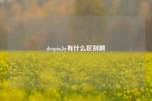 dropin,by有什么区别啊