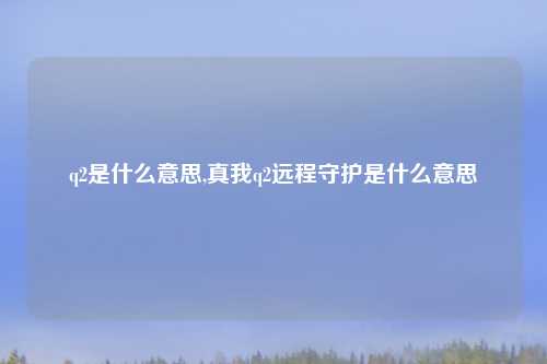q2是什么意思,真我q2远程守护是什么意思