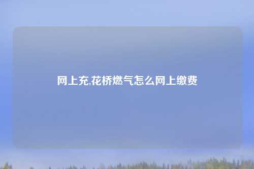 网上充,花桥燃气怎么网上缴费