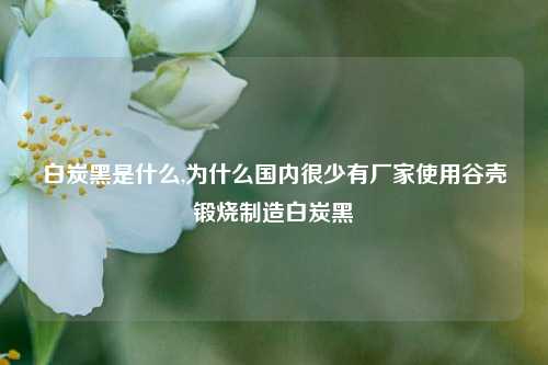 白炭黑是什么,为什么国内很少有厂家使用谷壳锻烧制造白炭黑