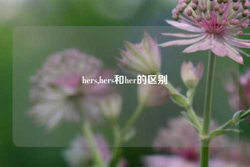 hers,hers和her的区别
