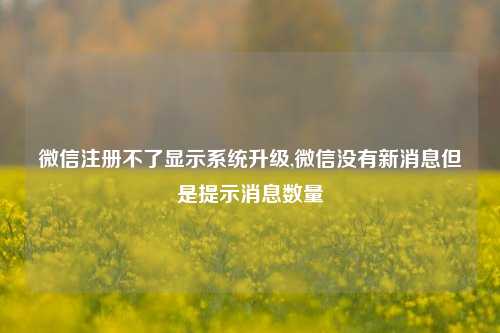 微信注册不了显示系统升级,微信没有新消息但是提示消息数量