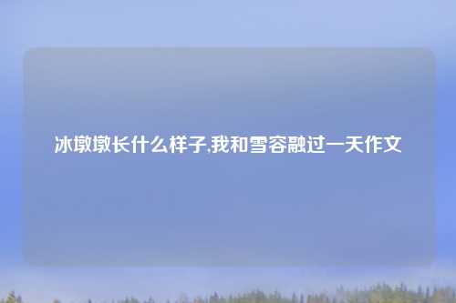 冰墩墩长什么样子,我和雪容融过一天作文