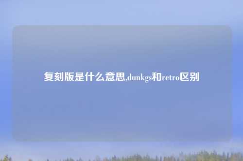 复刻版是什么意思,dunkgs和retro区别