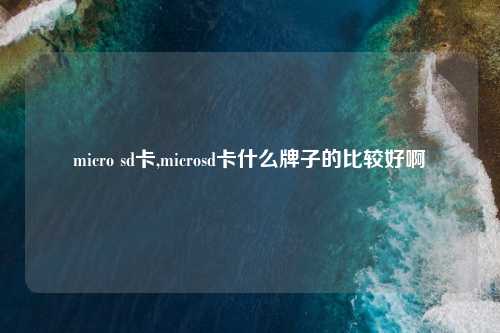 micro sd卡,microsd卡什么牌子的比较好啊