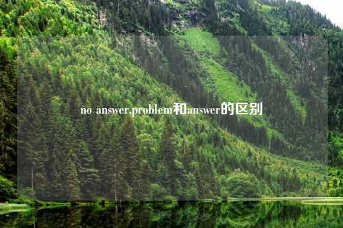 no answer,problem和answer的区别