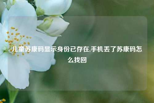 儿童苏康码显示身份已存在,手机丢了苏康码怎么找回