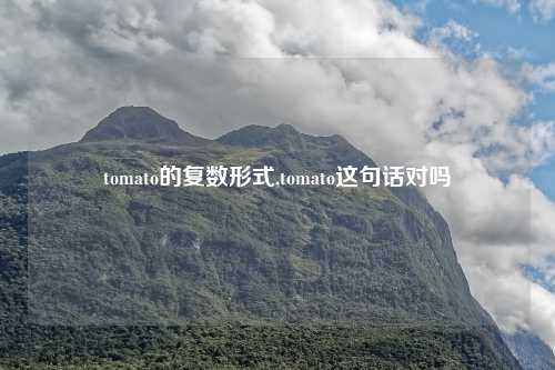 tomato的复数形式,tomato这句话对吗