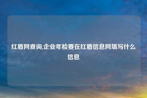 红盾网查询,企业年检要在红盾信息网填写什么信息