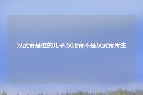汉武帝是谁的儿子,汉昭帝不是汉武帝所生
