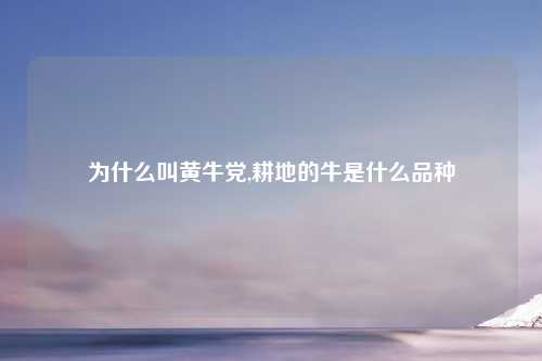 为什么叫黄牛党,耕地的牛是什么品种