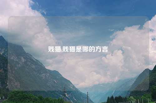 贱猫,贱猫是哪的方言