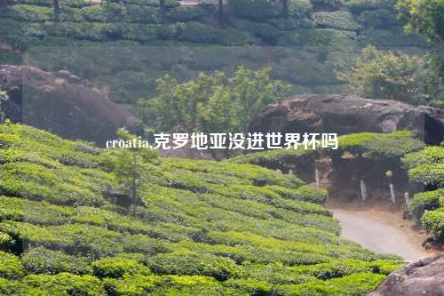 croatia,克罗地亚没进世界杯吗