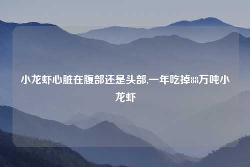小龙虾心脏在腹部还是头部,一年吃掉88万吨小龙虾